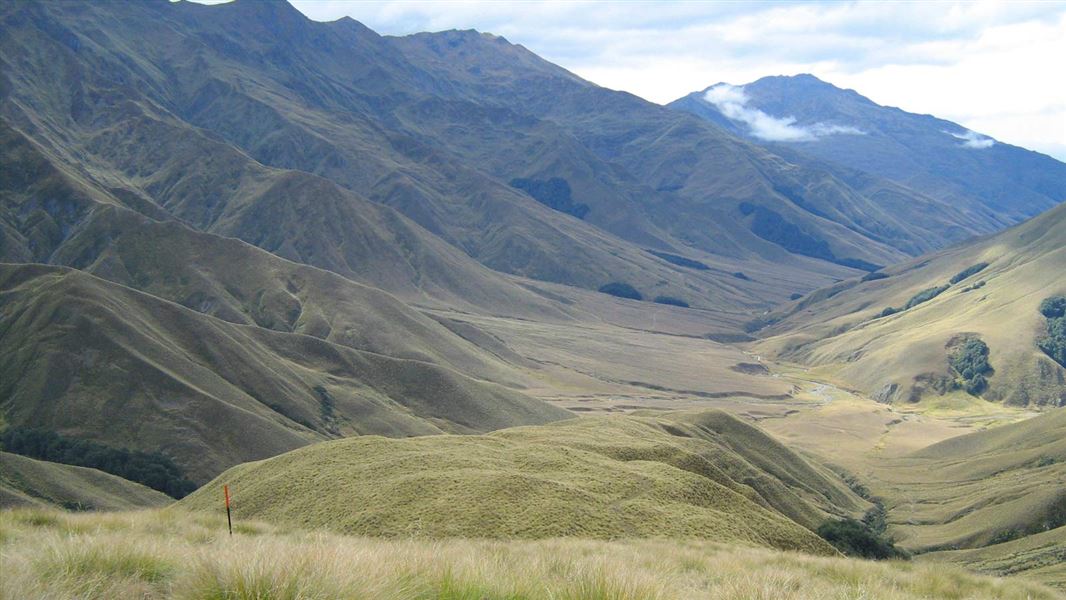 Motutapu Track. 