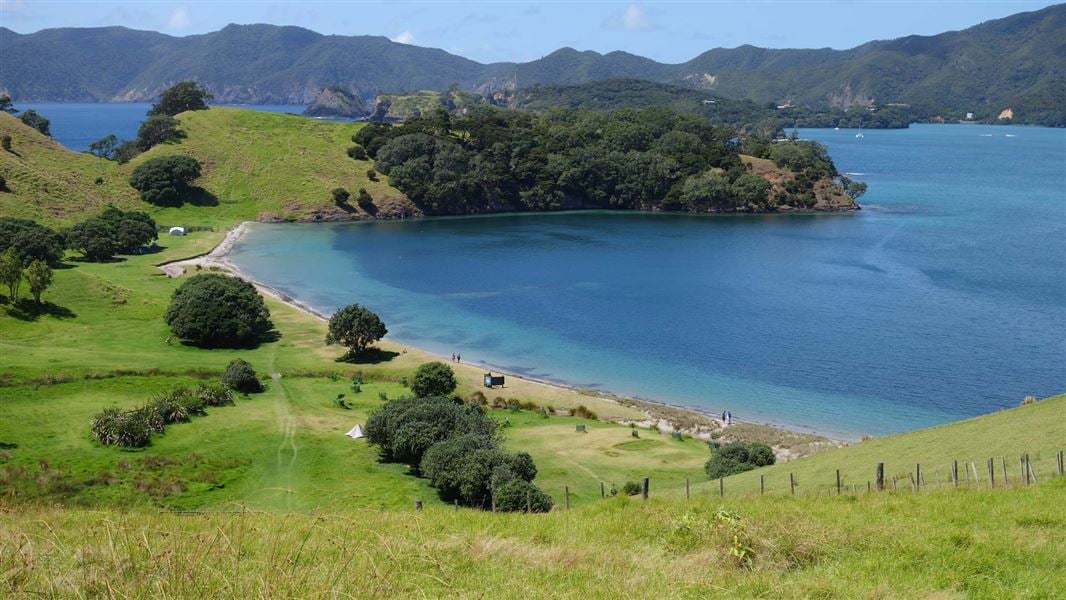 Urupukapuka Bay Campsite. 