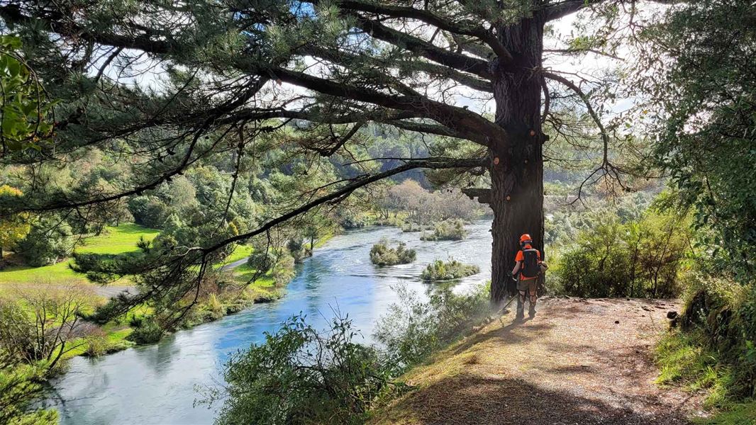 A ranger completes work on the Huka Falls Track.