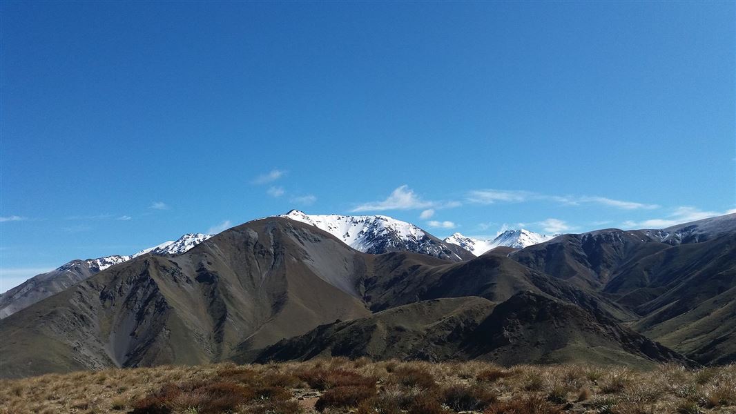 Views on Mount Somers walking track.