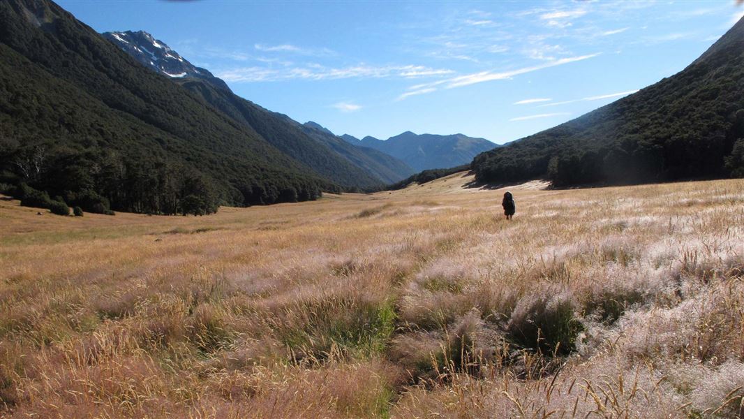 Ada Valley, St James Walkway. 