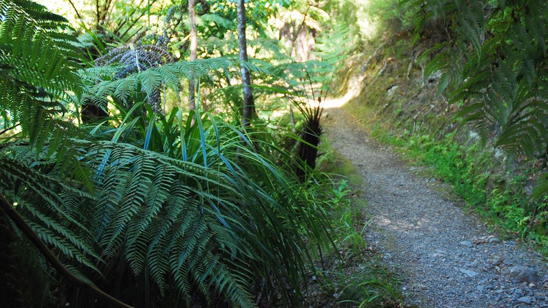 Five Mile Loop Track. 