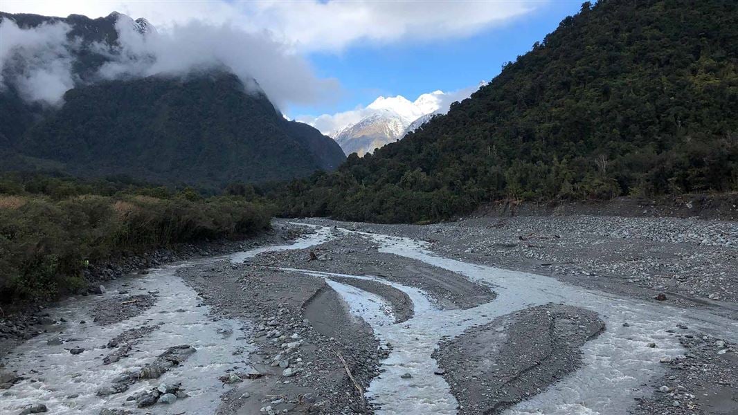 Fox Glacier area. 