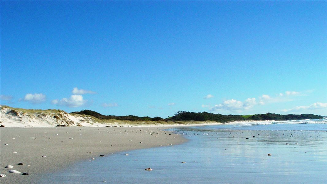 Golden sand beach.