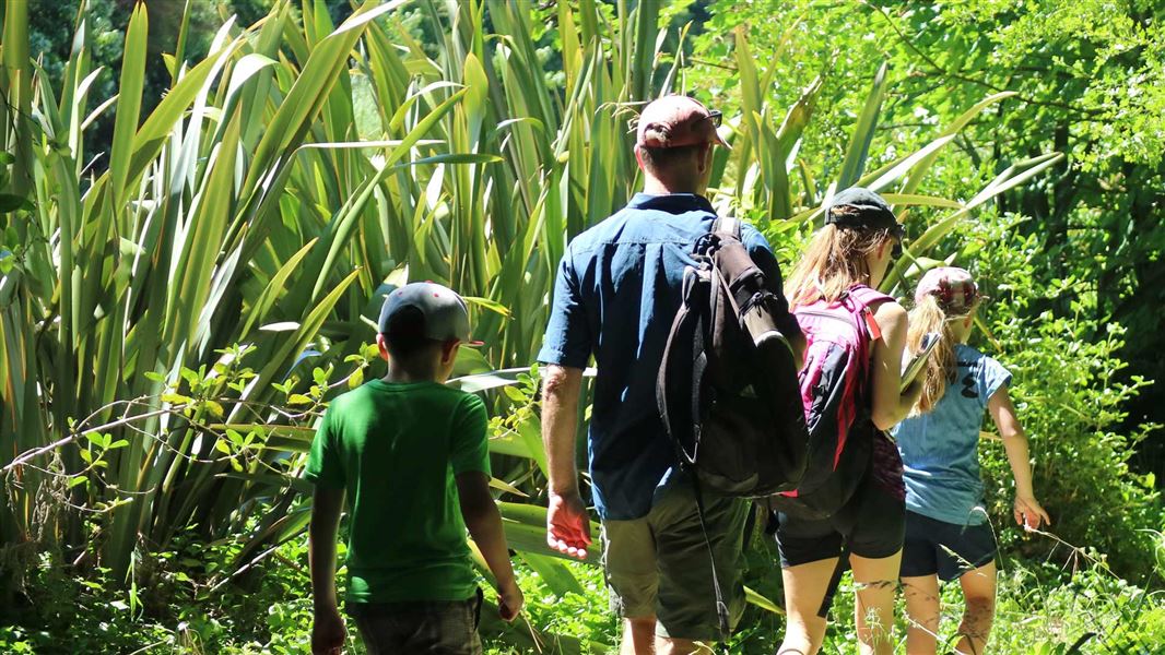 Family walking in the bush. 