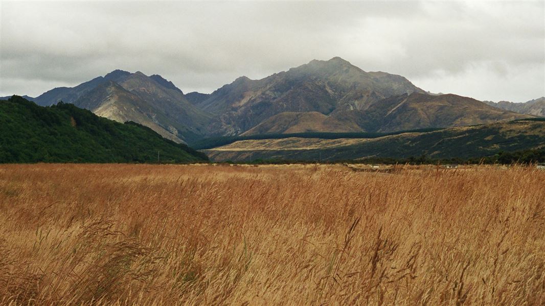 Redcliff Creek, Takitimu Mountains.