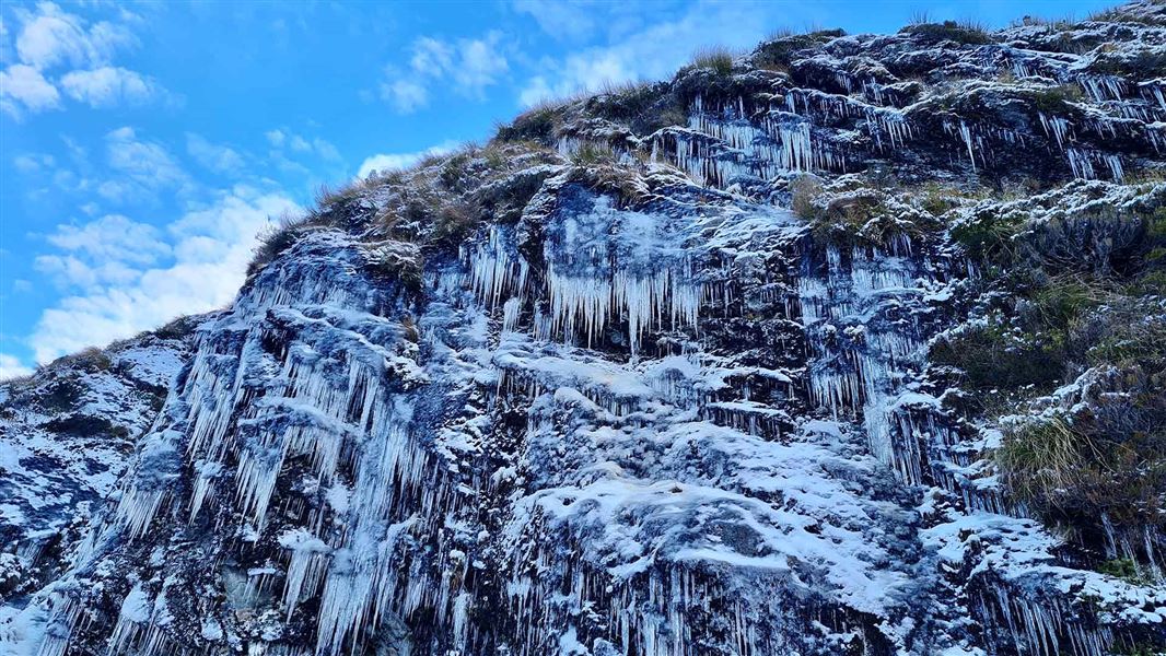 A steep tussock and rock covered hill with patches of snow and very sharp looking icicles hanging dramatically from its edges. 