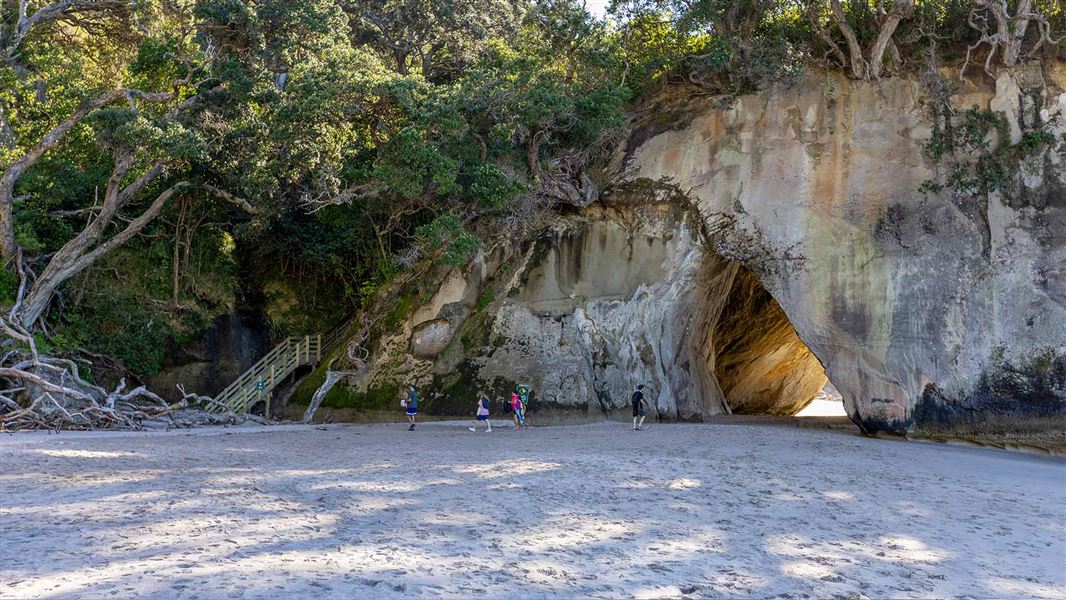 Sunlight streams through a natural archway in a sheer, pōhutukawa-covered cliff, above a sandy beach and walkers.