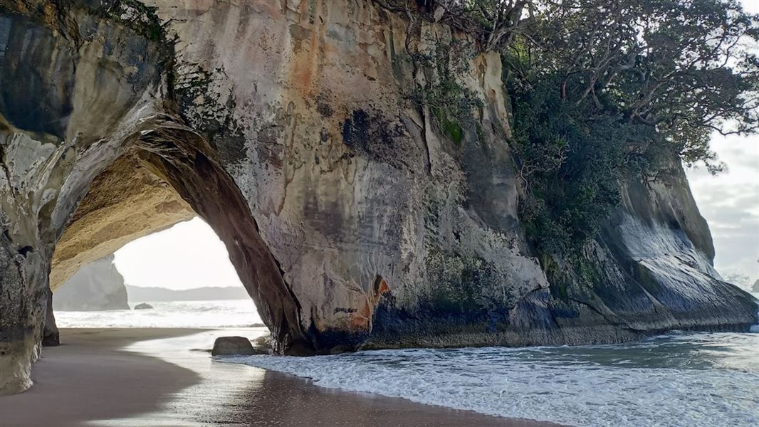 Mautohe Cathedral Cove archway with the water shimmering under the arch.