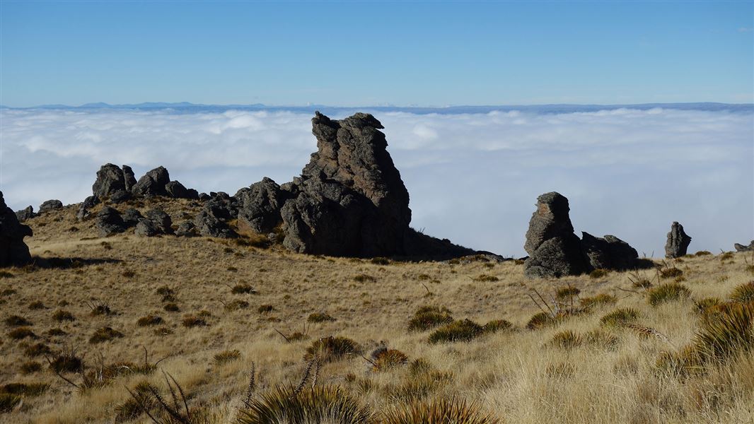 Rock formation in grassy area.