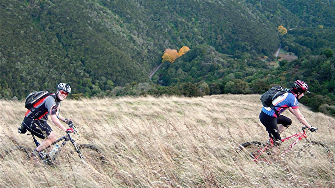 Government Track: Waihola/Taieri Mouth area, Otago region