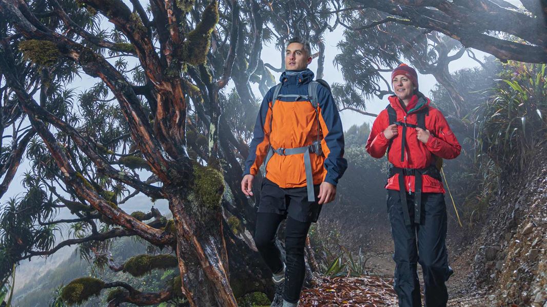 A couple walking through dense forest.