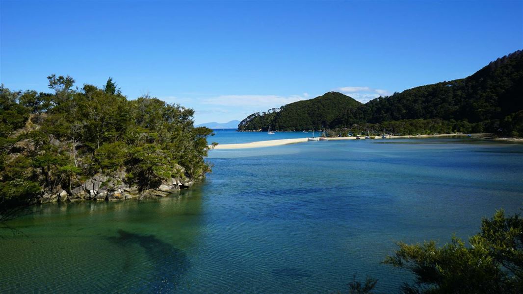 Bark Bay Campsite Abel Tasman.