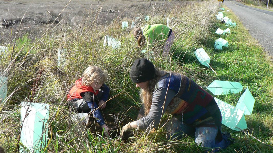 Family joining an estuary project.