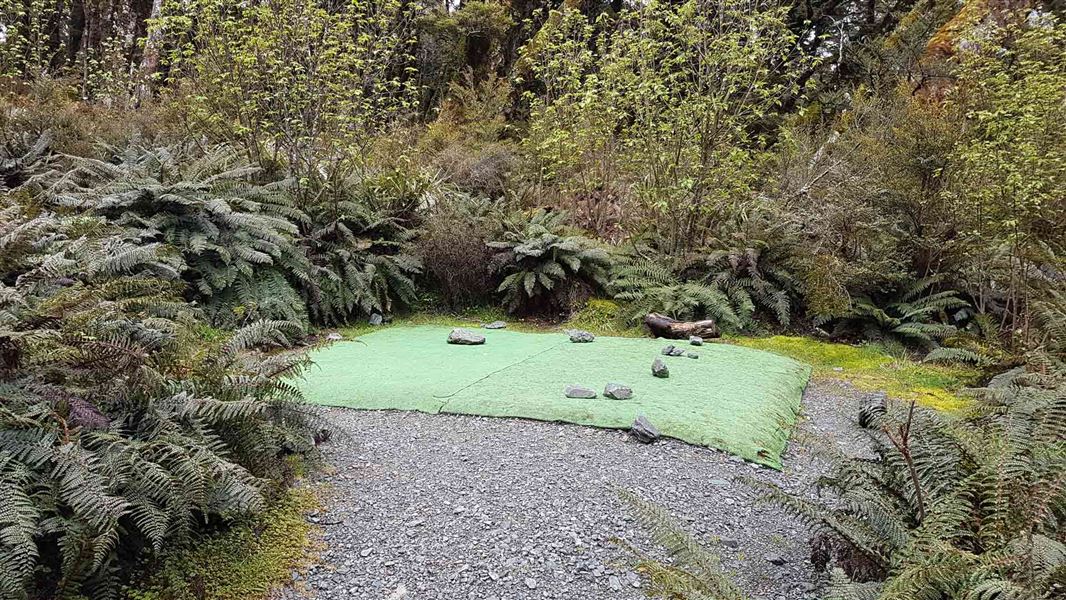 Tent site at Lake Mackenzie Campsite. 