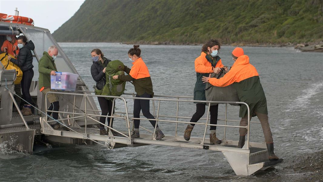 Unloading gear onto Kapiti Island. 