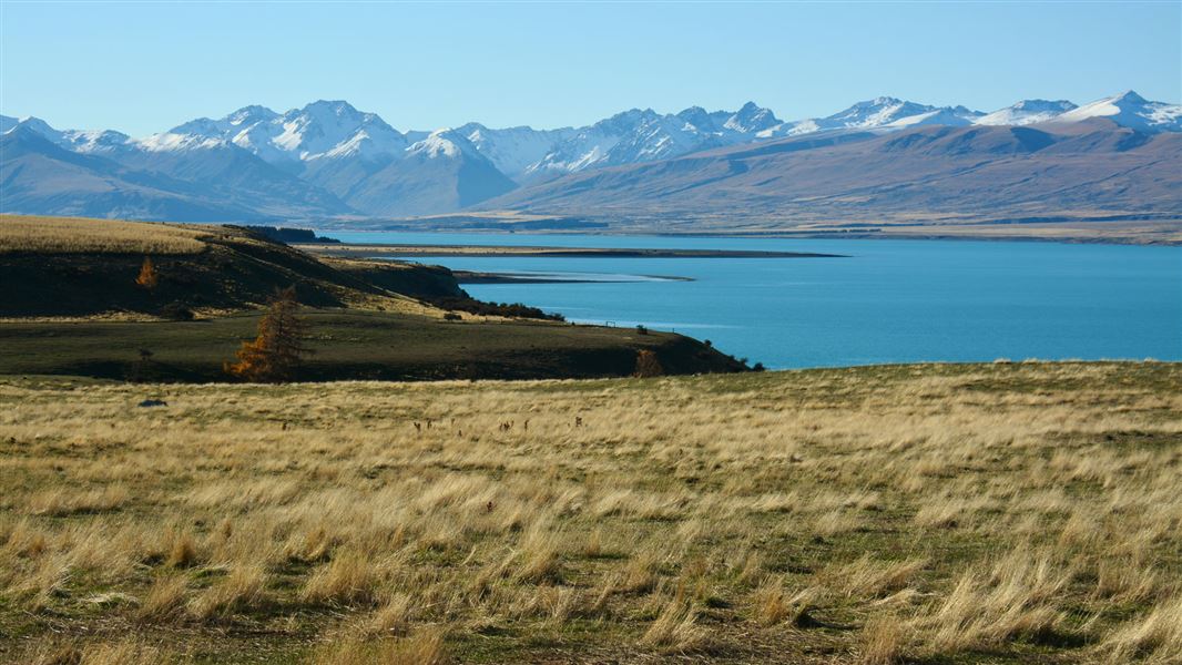 Lake Tekapo. 