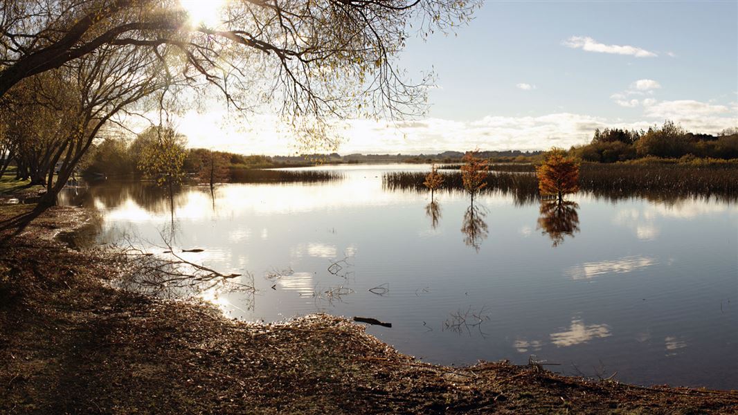 Lake Rerewhakaaitu. 