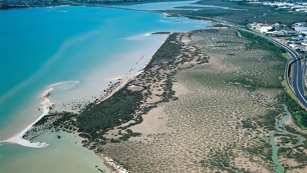 Motu Manawa-Pollen Island Marine Reserve