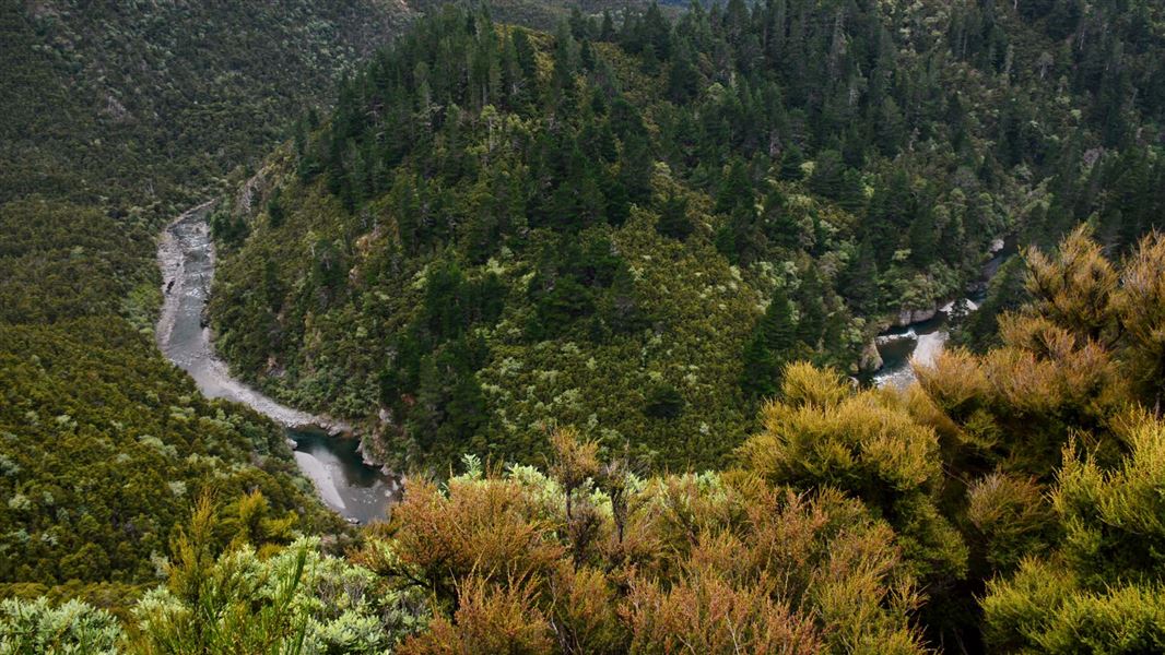 An shot looking down at the forest and the river below