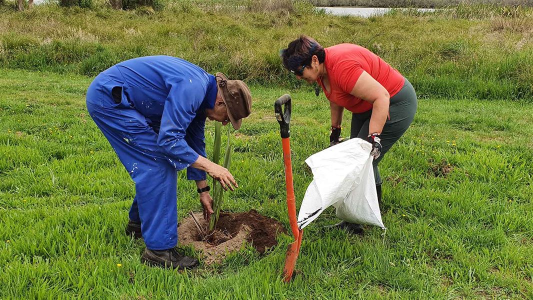 Two people plant a small tree in the ground near a lake.