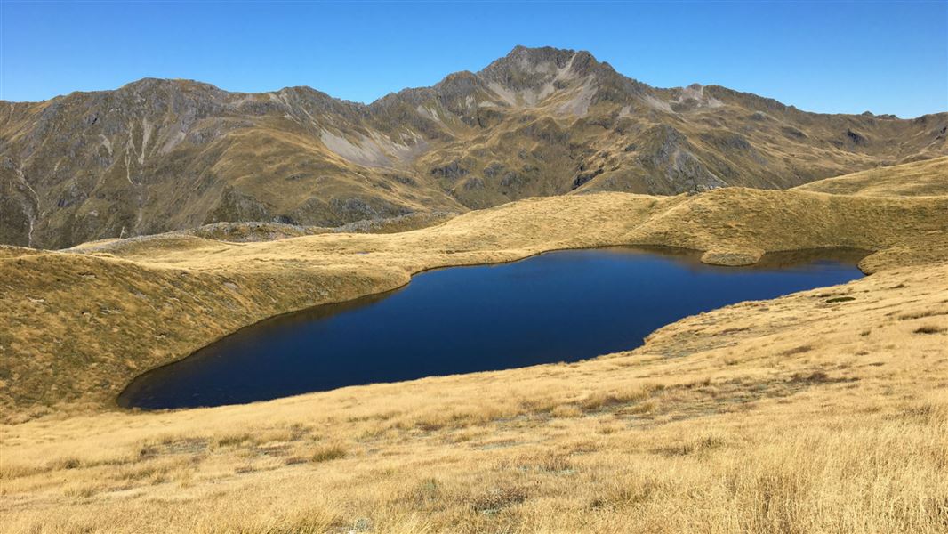 Tarn in Lewis Pass Scenic Reserve.