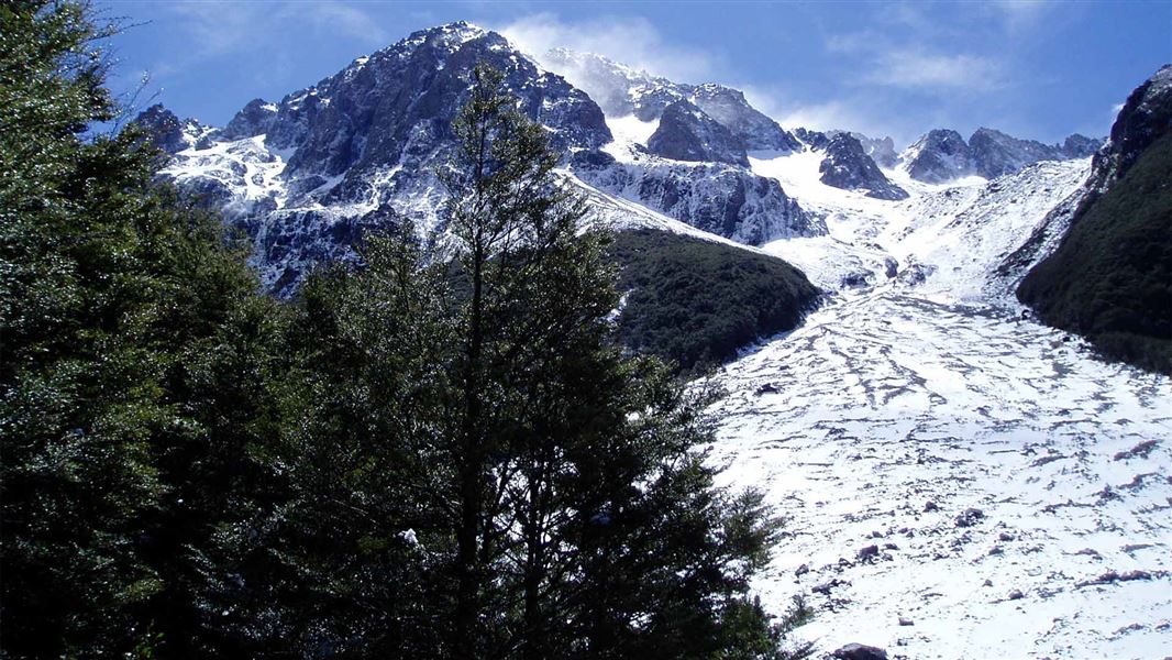 Avalanche Path in winter, Hopeless Creek, Nelson Lakes National Park 