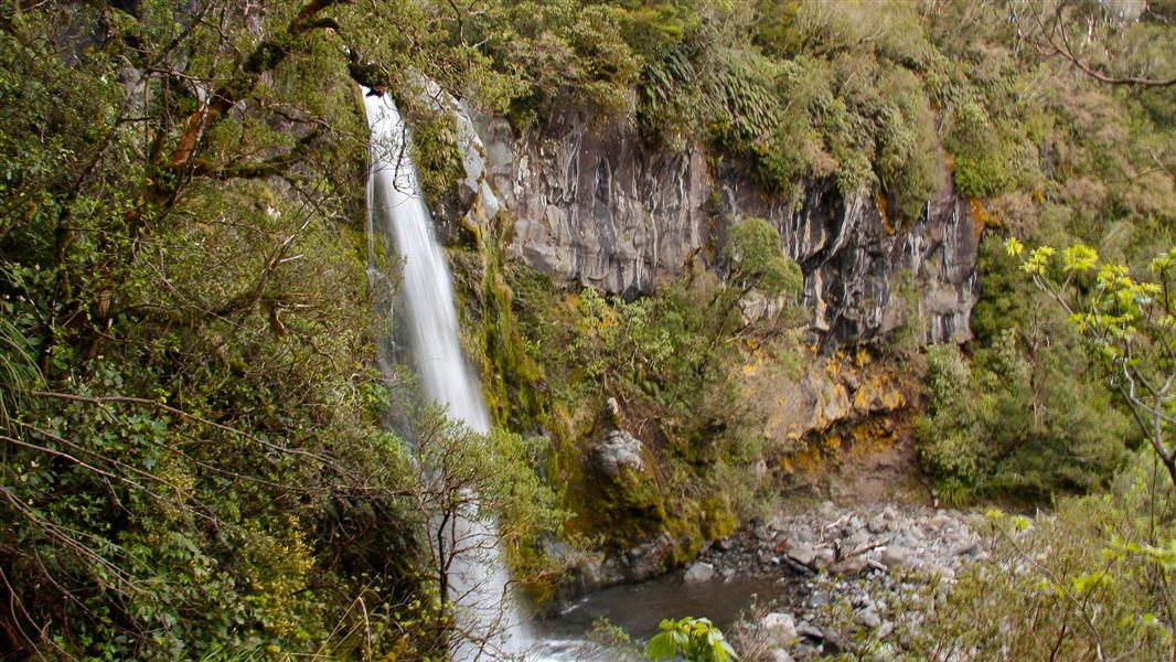 Dawson Falls. 