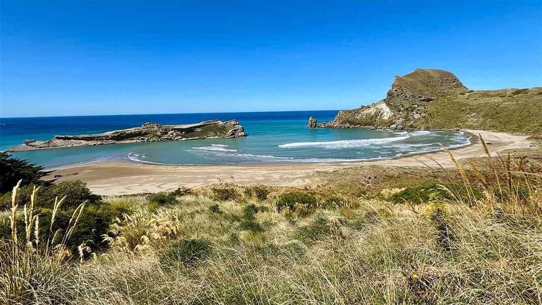 View from Deliverance Cove Track