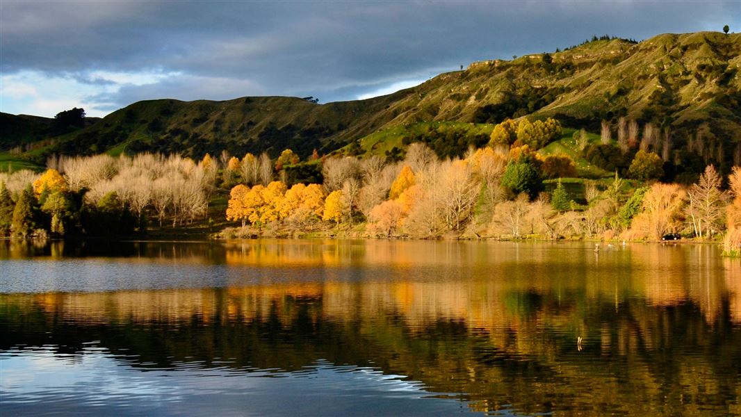 Lake Tutira and trees. 