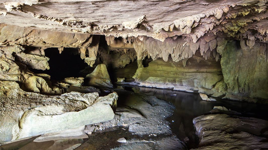 Waipu Caves. 