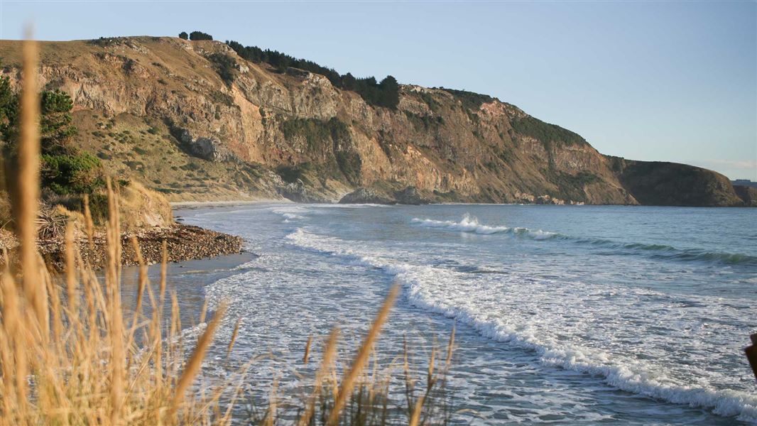 Aramoana beach and cliff top. 