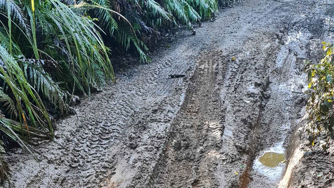 Four-wheel drive vehicles cause damage to the T42 in winter conditions. 