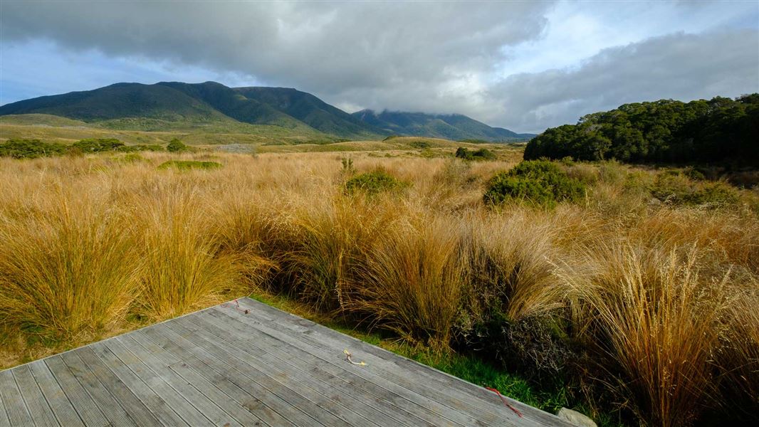 Gouland Downs campsite. 