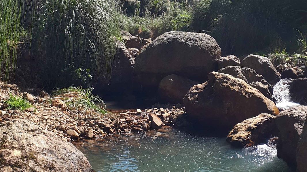 William Wright Falls Track. 