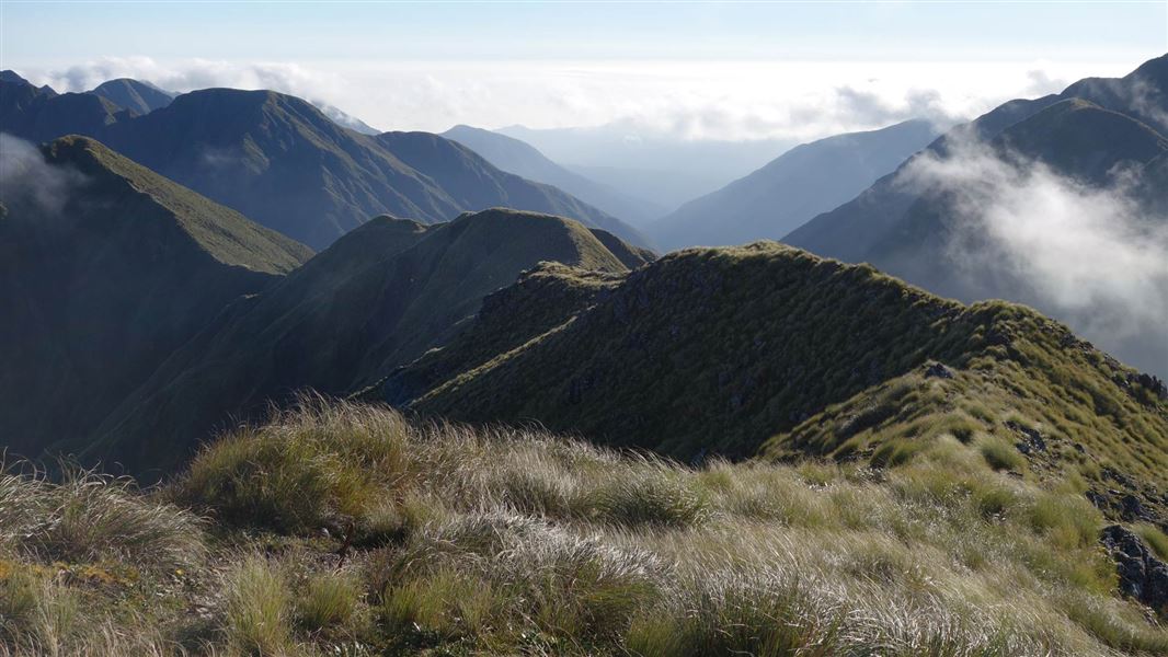 Between Te Matawai and Arete Huts. 