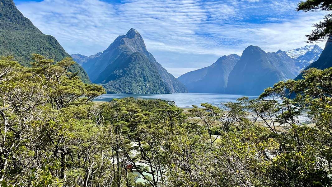 View from the Milford Sound lookout.