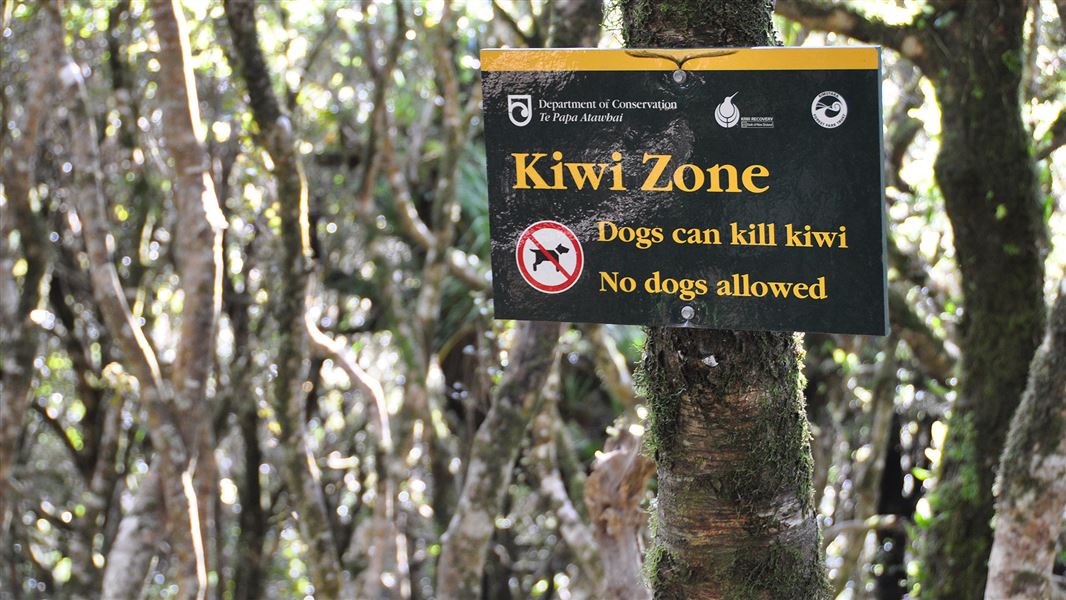 Sign marking where dogs are not allowed.