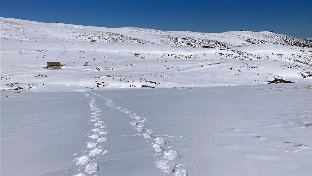 Kirtle Burn Track winter