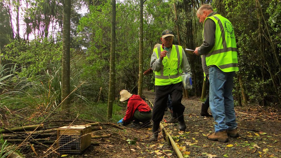 People working on restoration of wetland. 