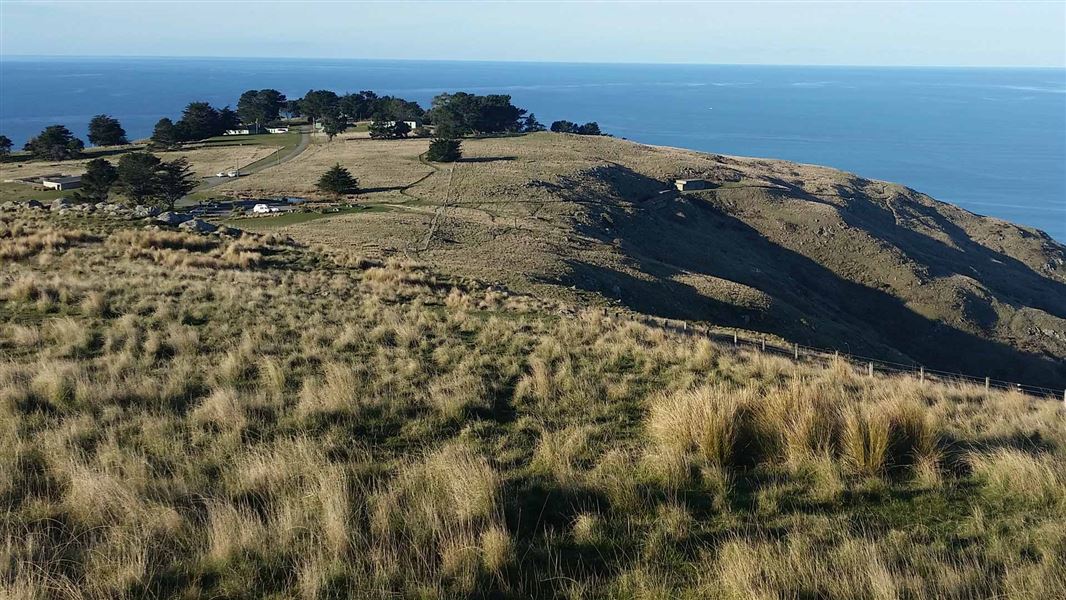 View of Godley Head Campsite with the ocean in the background.