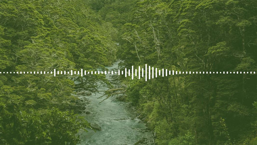 Image of a river in the forest with a sound wave graphic over layed on top.