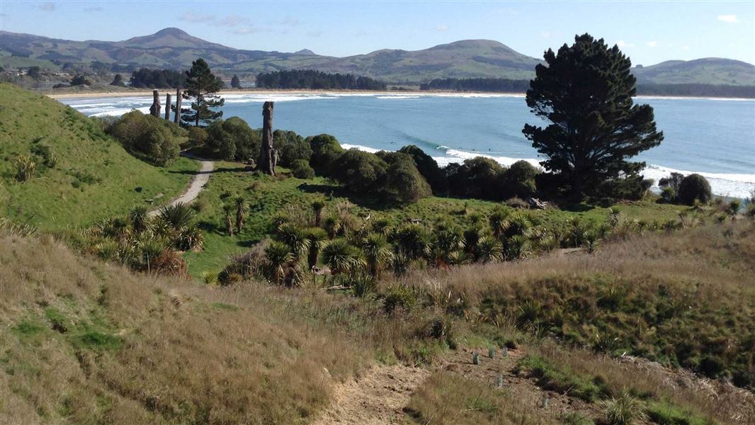 Karitane/Waikouaiti area: Places to visit in Otago