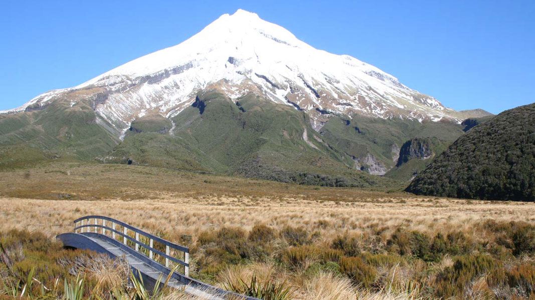 Mt Taranaki and Ahukawakawa swamp. 