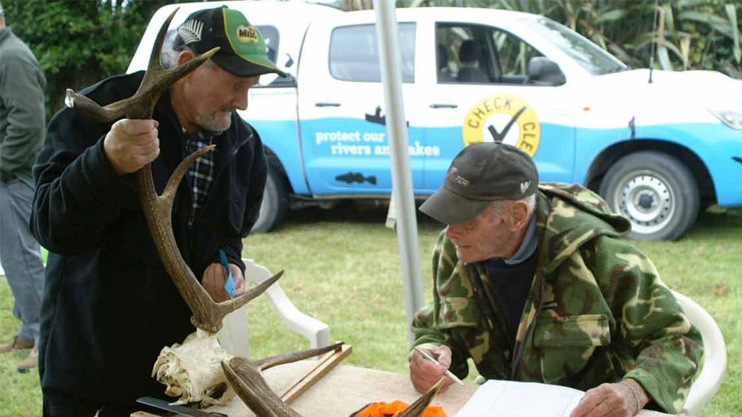 Scoring heads in the Pureora hunting competition.