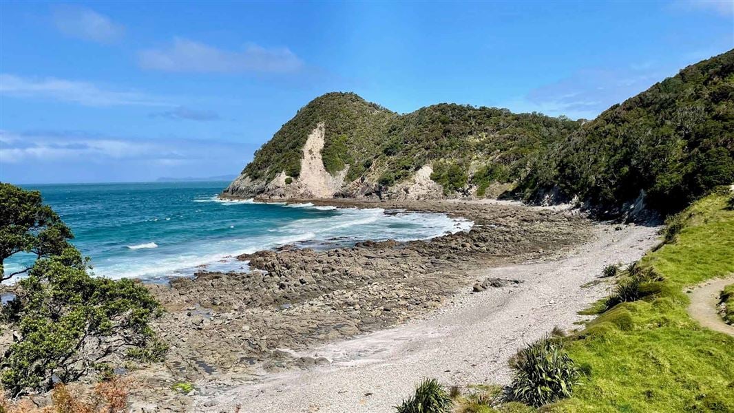 Rocky coastline and vegetation covered peninsula. 