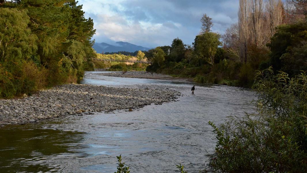 Angler on the Tongariro River. 