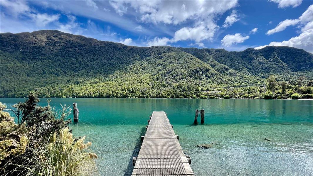 Jetty out into the water wiht lush bush on the other side of the water. 