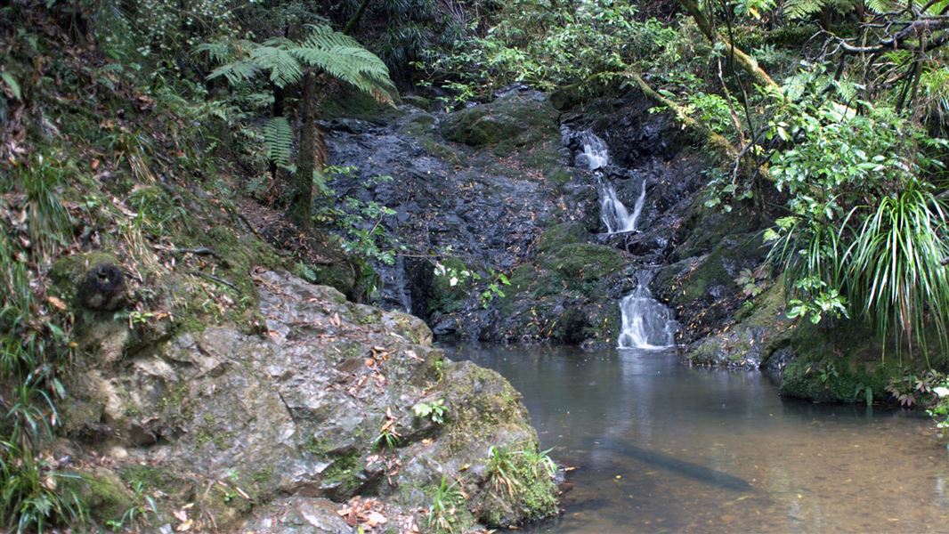 Stream cascades, Hakarimata Rail Trail. 