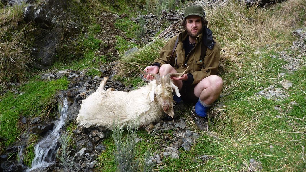 Person holding dead goat.